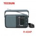 ĐÀI RADIO FM /AM/ SW TECSUN R-404P