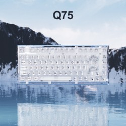 Bàn phím cơ FL-Esports Q75 Transparent White Light Ice Keycap